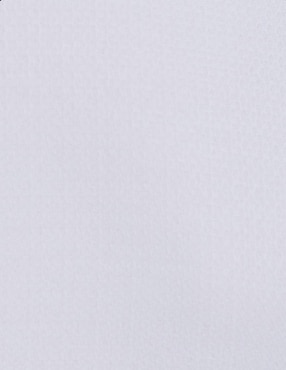 Camisa etiqueta Vittorio Forti manga larga para hombre
